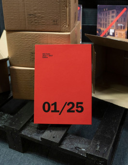 SSZ Sued 2011 — 2017