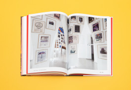 SSZ Sued 2011 — 2017