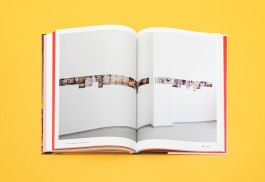 SSZ Sued 2011 — 2017